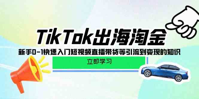 TikTok出海淘金，新手0-1快速入门短视频直播带货等引流到变现的知识-副业网