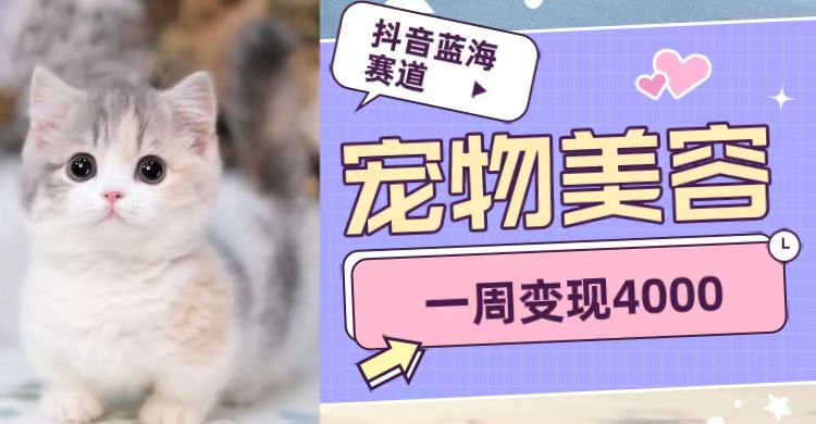 抖音蓝海赛道，宠物美容，一周变现4000-副业网