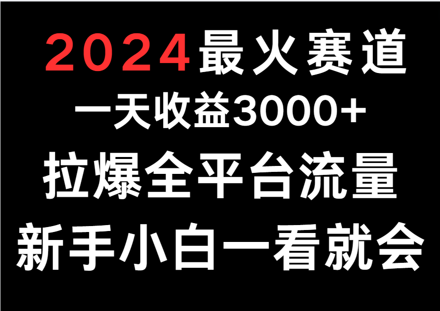 图片[1]-2024最火赛道，一天收一3000+.拉爆全平台流量，新手小白一看就会-副业网