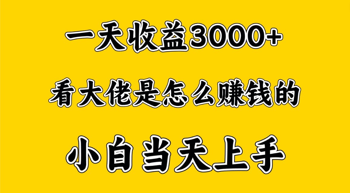 图片[1]-一天赚3000多，大佬是这样赚到钱的，小白当天上手，穷人翻身项目-副业网