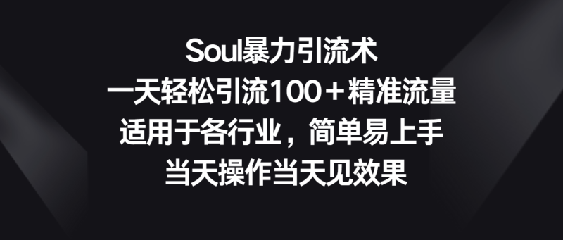Soul暴力引流术，一天轻松引流100＋精准流量，适用于各行业，简单易上手！-副业网