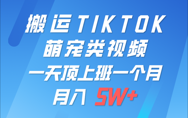 一键搬运TIKTOK萌宠类视频，一部手机即可操作，所有平台均可发布 轻松月入5W+-副业网