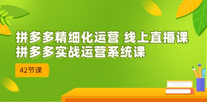 拼多多精细化运营 线上直播课：拼多多实战运营系统课（更新47节）-副业网