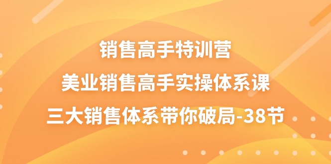 销售高手特训营，美业销售高手实操体系课，三大销售体系带你破局（38节）-副业网