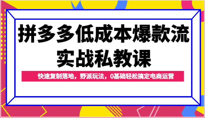 拼多多低成本爆款流实战私教课，快速复制落地，野派玩法，0基础轻松搞定电商运营-副业网