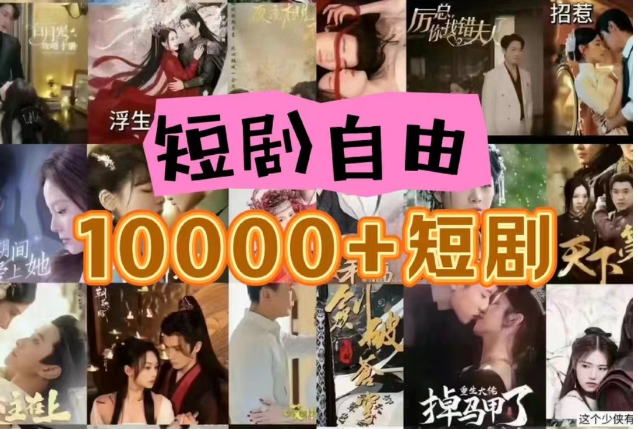 打造完全属于自己的个人短剧库，实现网盘拉新与私域变现的完美融合！-副业网