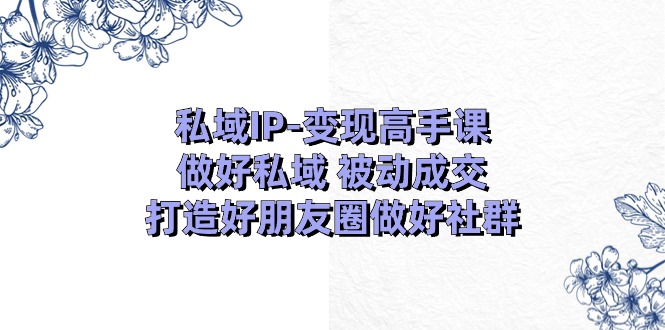 私域IP变现高手课：做好私域被动成交，打造好朋友圈做好社群（18节）-副业网
