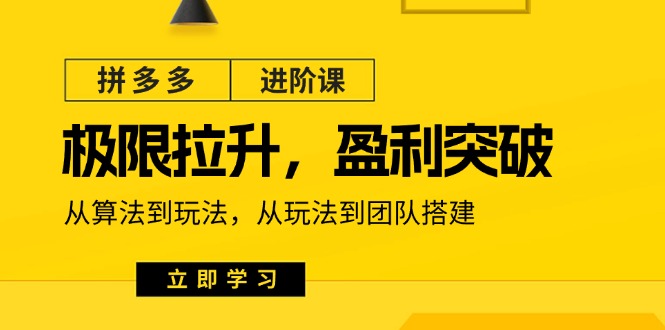 拼多多进阶课：极限拉升/盈利突破：从算法到玩法 从玩法到团队搭建（18节）-副业网
