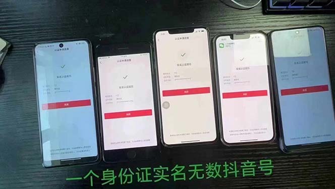 图片[2]-抖音无限实名技术：一个SFZ号码可以十名无数个抖音账号，具体自己实操-副业网