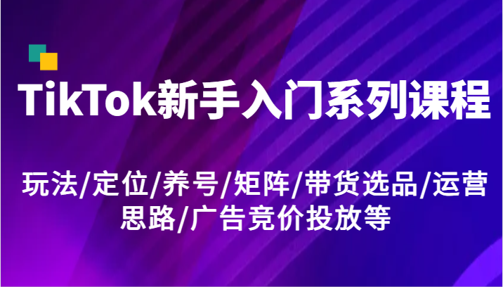 TikTok新手入门系列课程，玩法/定位/养号/矩阵/带货选品/运营思路/广告竞价投放等-副业网