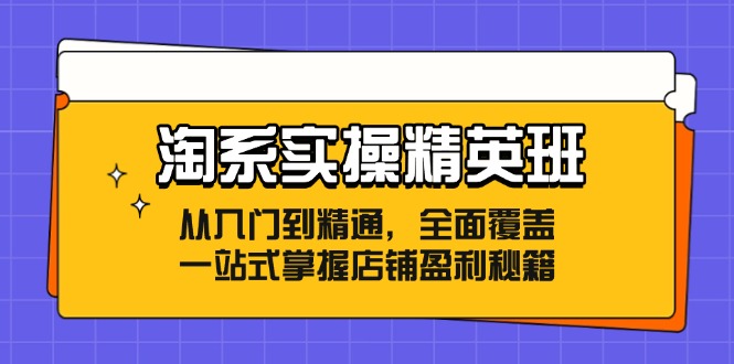 淘系实操精英班：从入门到精通，全面覆盖，一站式掌握店铺盈利秘籍-副业网