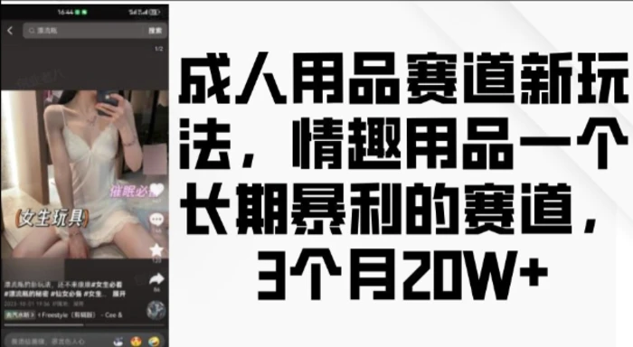 成人用品赛道新玩法，情趣用品一个长期暴利的赛道，3个月收益20个-副业城