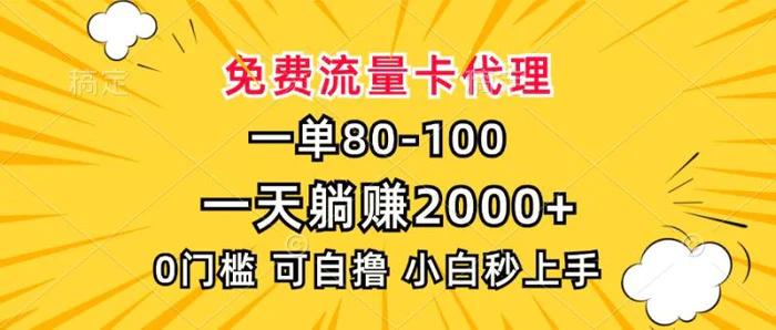 （13551期）一单80，免费流量卡代理，一天躺赚2000+，0门槛，小白也能轻松上手-副业城
