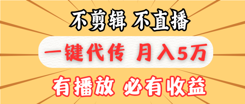 （13555期）不剪辑不直播，一键代发，月入5万懒人必备，我出视频你来发-副业城