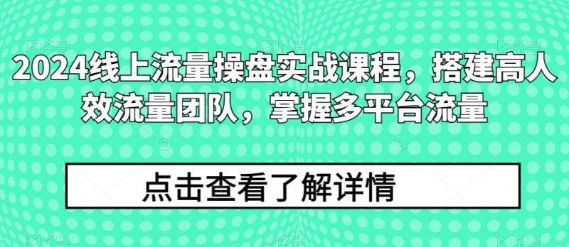 2024线上流量操盘实战课程，搭建高人效流量团队，掌握多平台流量-副业网