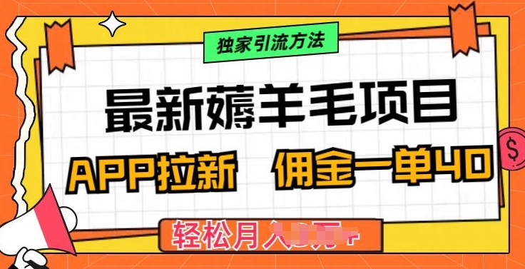 最新薅羊毛项目，利用购物APP拉新，佣金一单40.配合独家引流方法-副业网