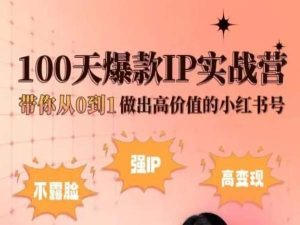 小红书100天爆款IP实战营，带你从0到1做出高价值的小红书号-副业网