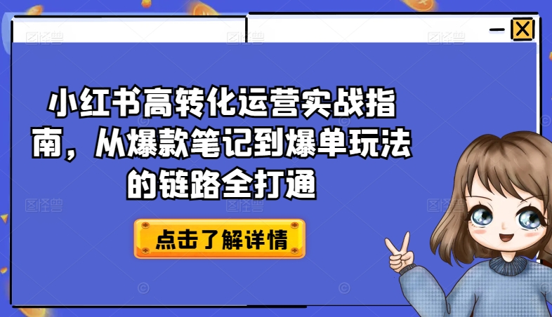 小红书高转化运营实战指南，从爆款笔记到爆单玩法的链路全打通-副业网