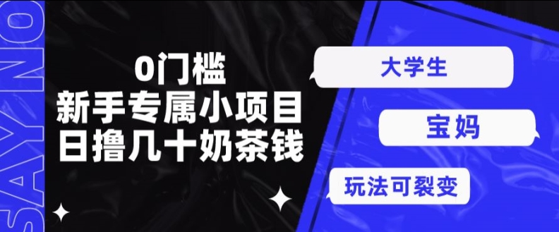 0门槛，新手专属小项目，日撸几十奶茶钱-副业网