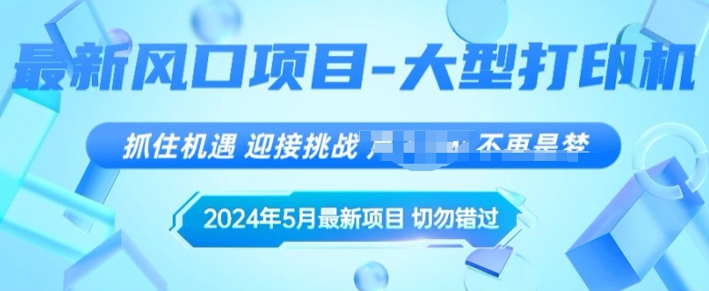 2024年5月最新风口项目，闲鱼卖大型打印机，无货源赚差价模式，小白也可以操作-副业网