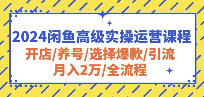 2024闲鱼高级实操运营课程：开店/养号/选择爆款/引流/月入2万/全流程-副业网