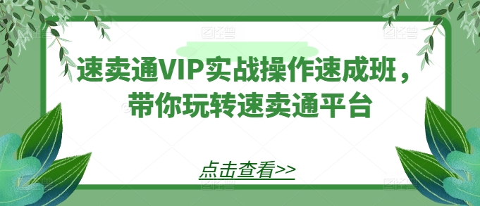速卖通VIP实战操作速成班，带你玩转速卖通平台-副业网