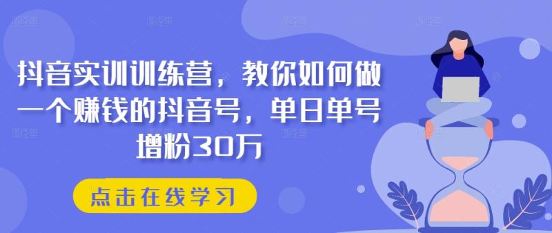 抖音实训训练营，教你如何做一个赚钱的抖音号，单日单号增粉30万-副业网