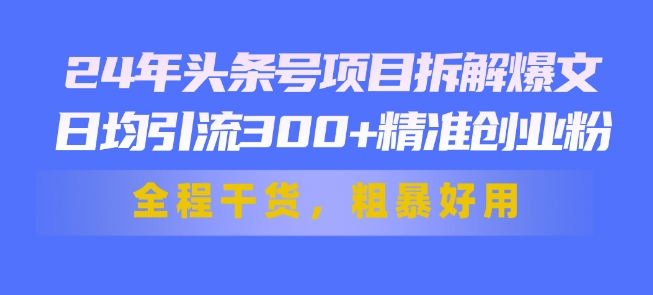 24年头条号项目拆解爆文，日均引流300+精准创业粉，全程干货，粗暴好用-副业网