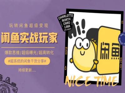 手把手教你0到1系统玩转闲鱼变现，爆款思维/超级曝光/超高转化-副业网