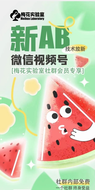 梅花实验室2024年AB技术视频号AB合成破解版-副业网