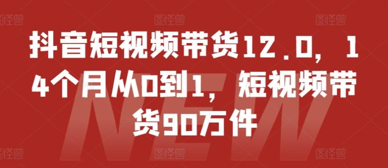 抖音短视频带货12.0，14个月从0到1，短视频带货90万件-副业网