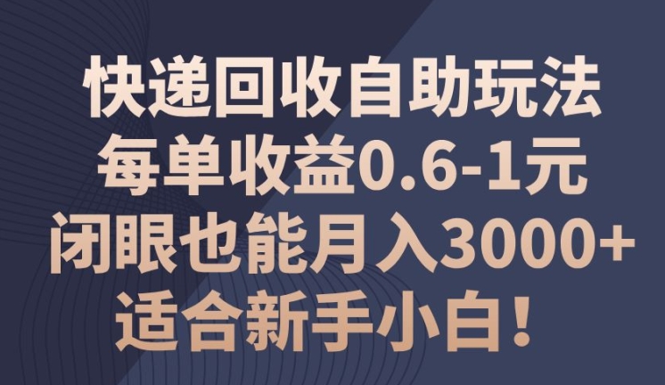 快递回收自助玩法，每单收益0.6-1元，闭眼也能月入3000+!适合新手小白!-副业网