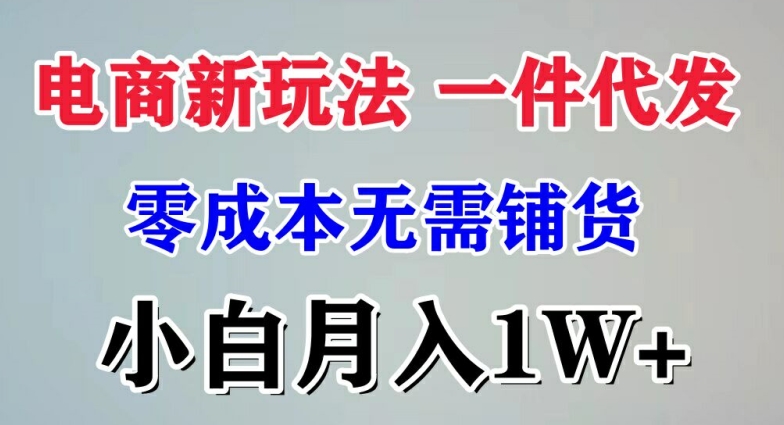 电商新玩法 一件代发,零成本无需铺货，小白月入1W+-副业网