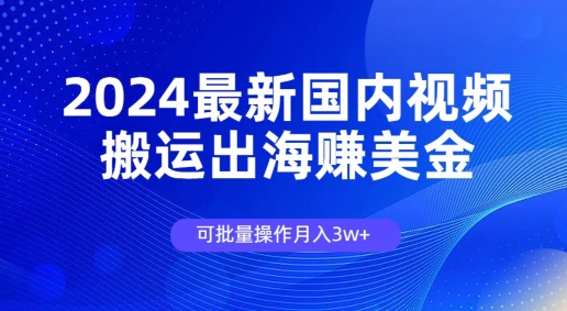 2024最新国内视频搬运出海赚美金，可批量操作月入3w-副业网