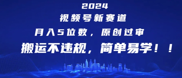 2024视频号新赛道，月入5位数+，原创过审，搬运不违规，简单易学【揭秘】-副业网