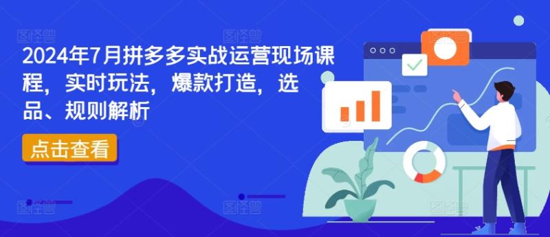 2024年7月拼多多实战运营现场课程，实时玩法，爆款打造，选品、规则解析-副业网