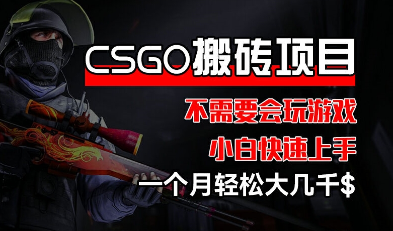 CSGO 装备搬砖项目，操作简单，不需要会玩游戏，小白也能快速上手，一个月轻松大几千【揭秘】-副业网