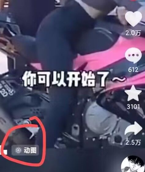 图片[2]-2024年7月苹果手机动图搬运技术-副业网