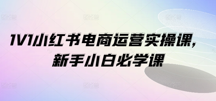 1V1小红书电商运营实操课，新手小白必学课-副业网
