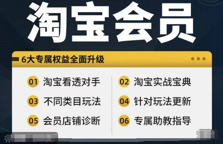 淘宝会员【淘宝所有课程，全面分析对手】，初级到高手全系实战宝典-副业网