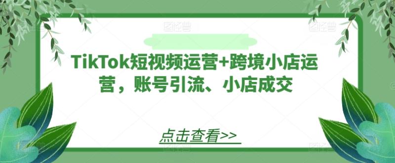 TikTok短视频运营+跨境小店运营，账号引流、小店成交-副业网