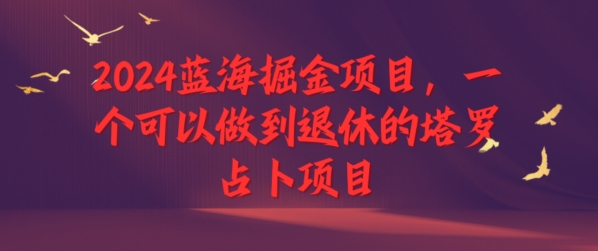 2024蓝海掘金项目，一个可以做到退休的塔罗占卜项目-副业网