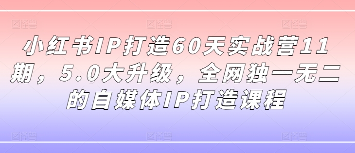 小红书IP打造60天实战营11期，5.0大升级，全网独一无二的自媒体IP打造课程-副业网