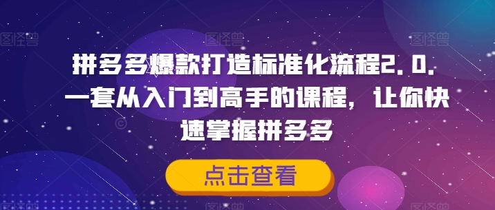拼多多爆款打造标准化流程2.0，一套从入门到高手的课程，让你快速掌握拼多多-副业网
