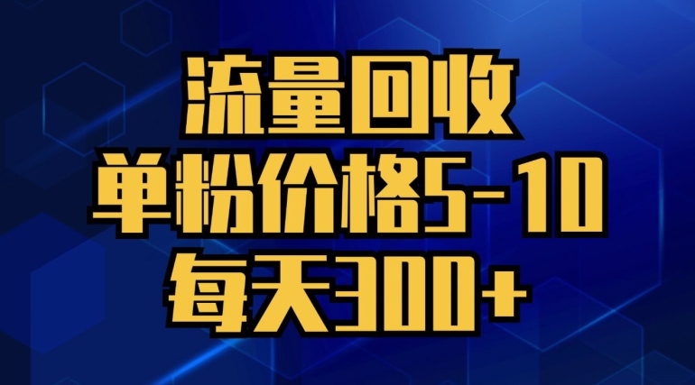 流量回收，单粉价格5-10，每天300+，轻松月入五位数-副业网