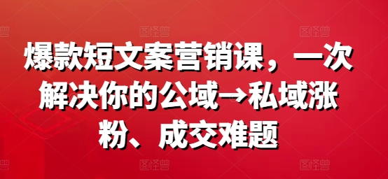 爆款短文案营销课，一次解决你的公域→私域涨粉、成交难题-副业网
