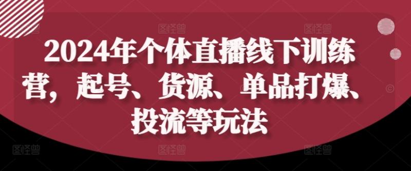 2024年个体直播训练营，起号、货源、单品打爆、投流等玩法-副业网