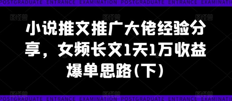 小说推文推广大佬经验分享,女频长文1天1万收益爆单思路(下)-副业网