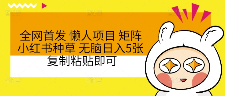 全网首发 懒人项目 矩阵小红书种草 无脑日入5张 复制粘贴即可-副业网