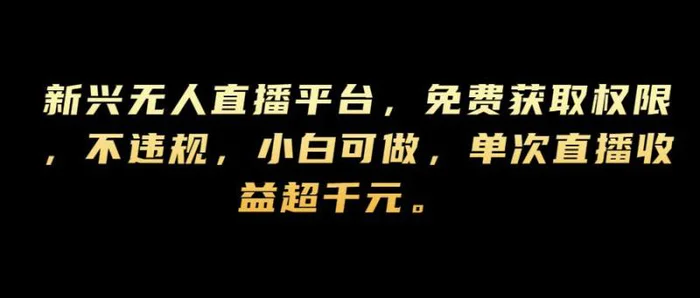 新兴无人直播平台，免费获取权限，不违规，小白可做，单次直播收益超千元-副业网